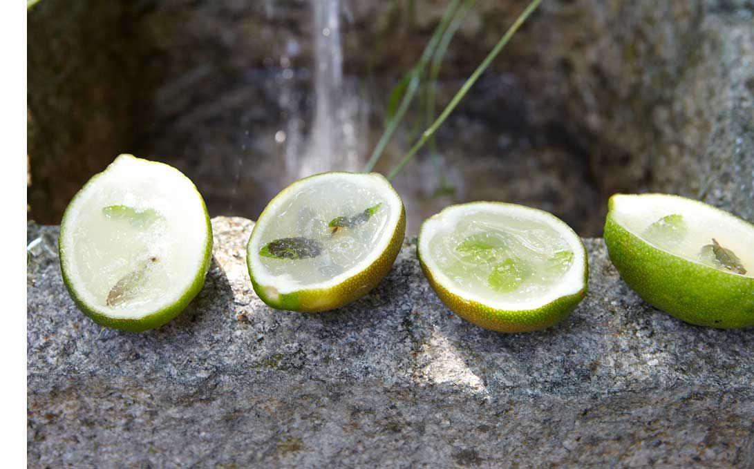 Mojito Jelly con Agar Agar